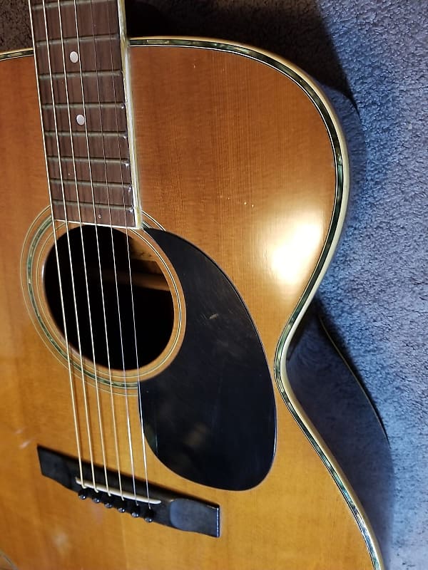Morris F-20 in 1975 (Size O.M) | Reverb