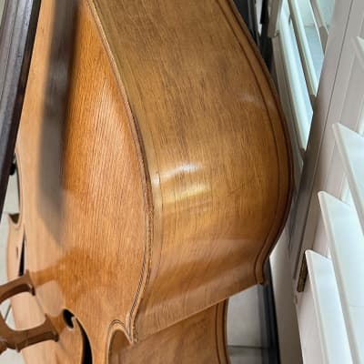 Kay M-1 Bass Viol 3/4 Upright Bass 1951 - the cleanest | Reverb