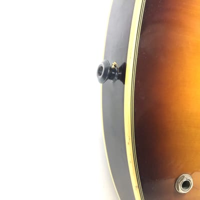 Jay Turser 335 Semi-Hollow Body Guitar Copy - Sunburst image 3