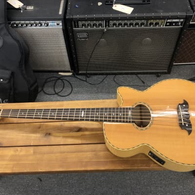 3SDM65 Athlete アコースティック フレットレスベース 3SDM65 Athlete アコースティック フレットレスベース Acoustic