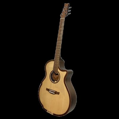 Riversong 2P GA G2 Acoustic Electric Guitar image 3