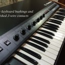 Oberheim OB-SX Vintage Analog Synthesizer - OB-X/Xa Sounds - Compact Preset Synth w/ Limited Editing