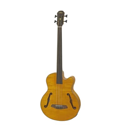 Aria FEBF2M-FL-STBR Flame Nato Top Nato Neck 4-String Medium Scale Fretless Acoustic Bass Guitar w/Gig Bag for sale