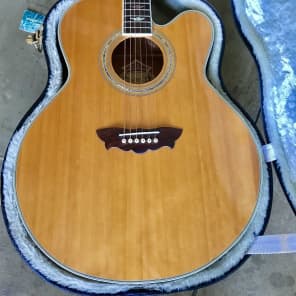 Washburn cumberland j28sce 2025