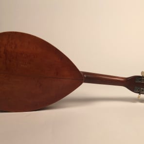 1920's S.S. Stewart Professional Birdseye Spruce & Mahogany Mandolin image 8