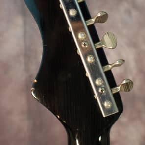 Immagine Video Demo Silvertone by Danelectro Hornet  Guitar Model 1450 Pro Setup New Silvertone Gigbag 1967 R - 6