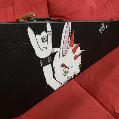 Coffin Case Guitar or Bass Case Not Sure Punk Rock Rabbit image 1