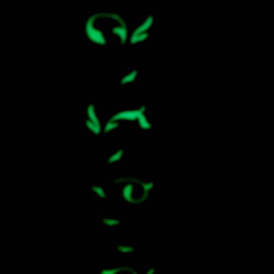 7 string Green Glo Vine Inlay  Neck-fits ibanez (tm) rg jem UV bodies- 65mm Heel - J1580 image 4