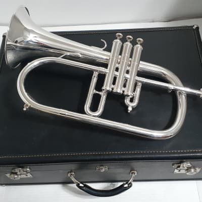 Getzen ETERNA 895S- 3 Valve FLUGELHORN , Mouthpiece & 2 Handle Combo Hard  case . 1972-1975 - Silver plated | Reverb