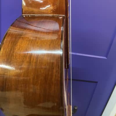Ariana/Aria (Matsumoku) Model 490 Classical Guitar - 1960s