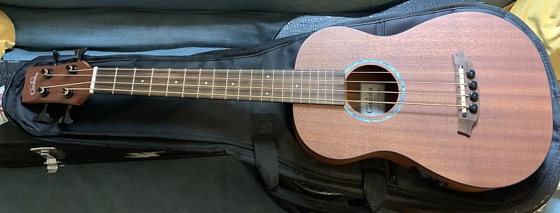 cordoba mini ii acoustic electric bass