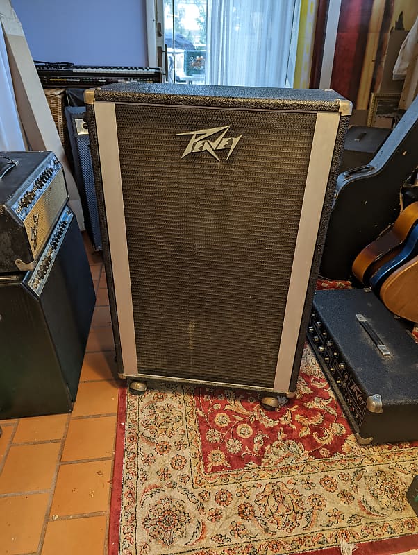 Peavey best sale cabinet 2x12