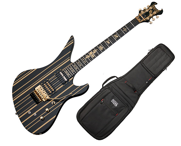 Schecter shop guitar bag