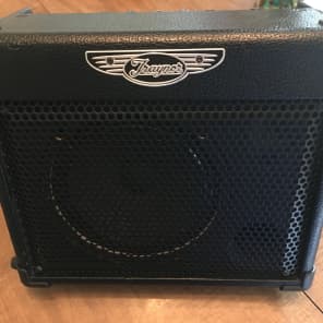 Traynor TVM10 Battery Powered 10-Watt 1x6