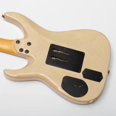 Fernandes FR-100 | Reverb