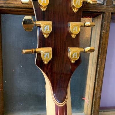 Alembic Darling With LEDs New Old Stock Cocobolo image 8
