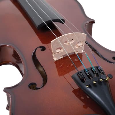 Palatino VN-350 Campus Hand-Carved Violin Outfit with Case and Bow, 1/10 Size image 5