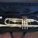 Verve brand  Trumpet with case and mouthpiece.