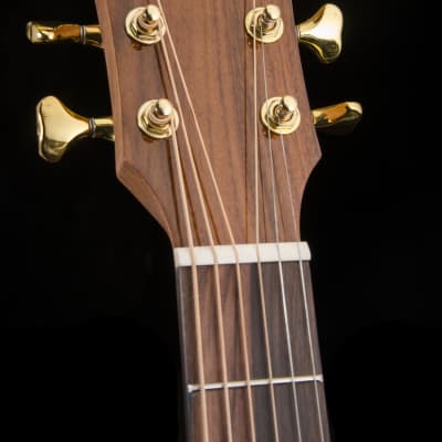 Washburn BTS24s Bella Tona Elegante S24s Acoustic Guitar 2018 no case image 4