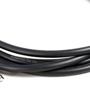 D'Addario PW-CGTRA-10 Classic Series Straight to Right Angle Instrument Cable - 10 foot image 2