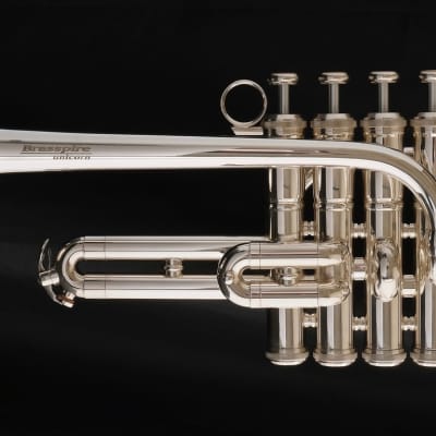 Immagine Brasspire Unicorn Piccolo Trumpet: Amazing Value and Performance! - 3