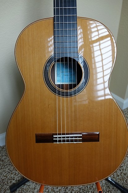 Cordoba Loriente Clarita