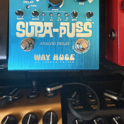 Way Huge WHE-707 Supa-Puss Analog Delay Pedal | Reverb