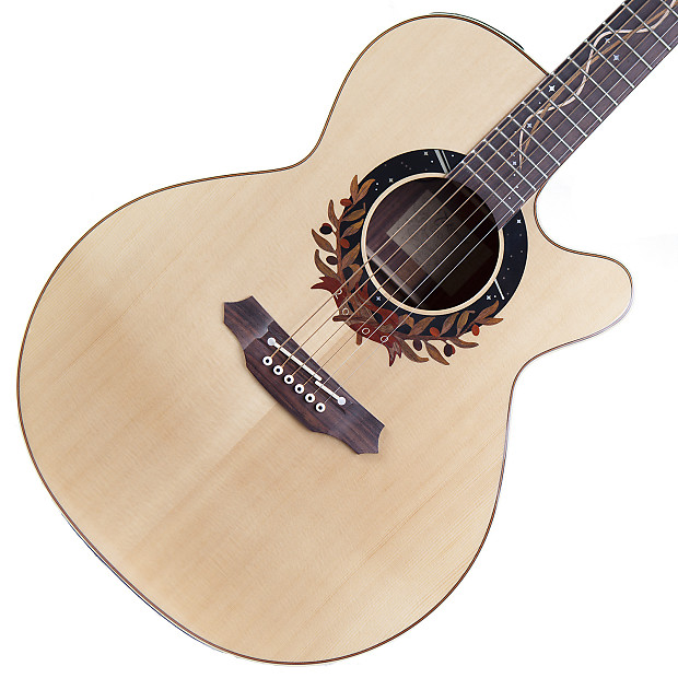 Takamine 2000 deals limited edition