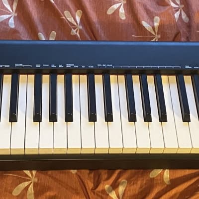 Casio CDP-S100 88-Key Digital Piano 2010s - Black