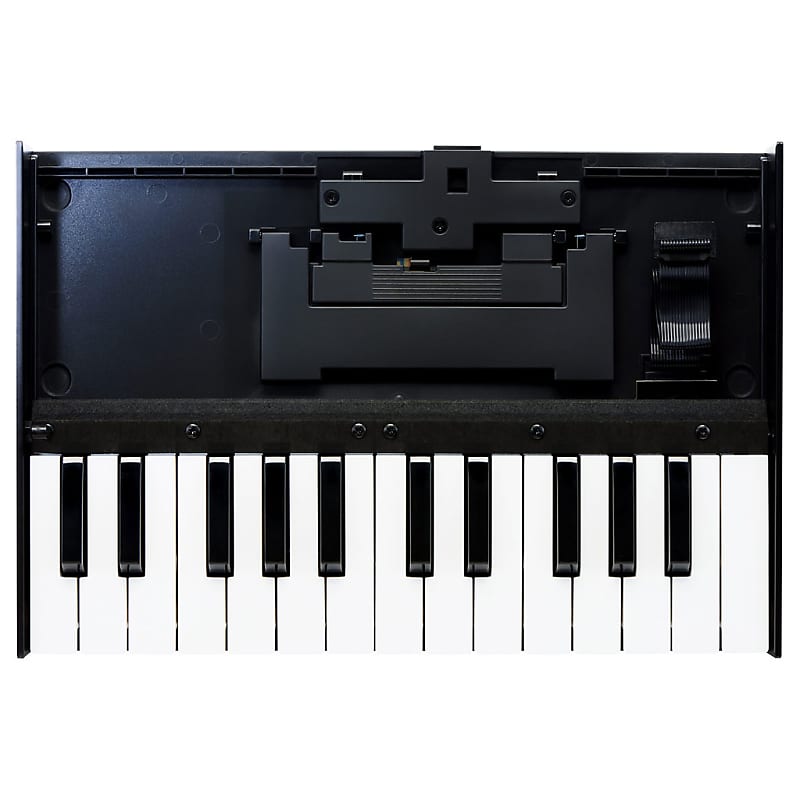 Roland K-25m Portable Keyboard for Roland Boutique Modules image 1
