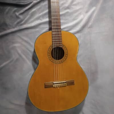 Epiphone Classical Acoustic Guitar, Model C40, Nylon Strings 1990s - Natural for sale