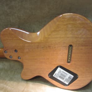 2001 Godin LGS P-90 Ltd Ed NAMM Show Guitar AAA #13 Flame Maple Top 1 of 100 Free US Shipping! image 9