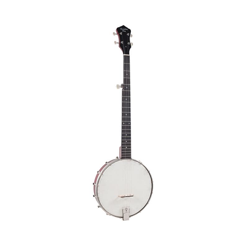 Recording King Dirty 30's Open Back Banjo image 1