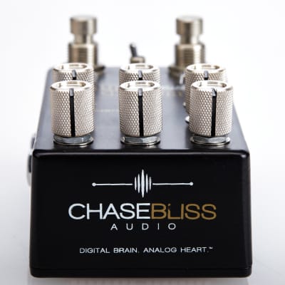 Chase Bliss Audio Warped Vinyl Lush Analog Chorus Vibrato Warble 2013 - Black in Wood Box image 12