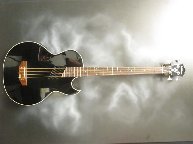 Washburn AB 10