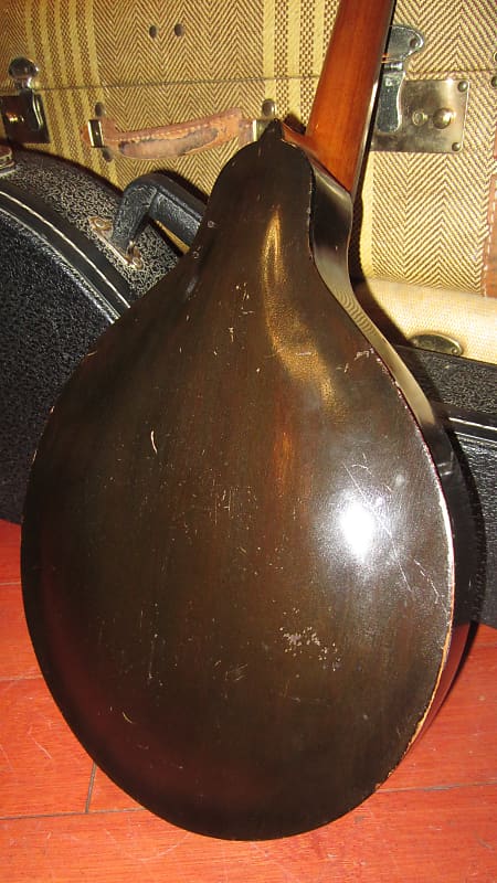 Gibson Octave Mandolin 1904, Natural