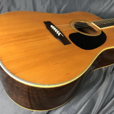 Rider Custom Model R-800D Hayashi | Reverb