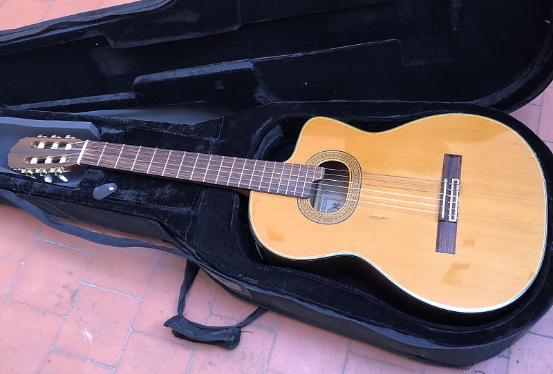 Takamine e50 nylon hotsell
