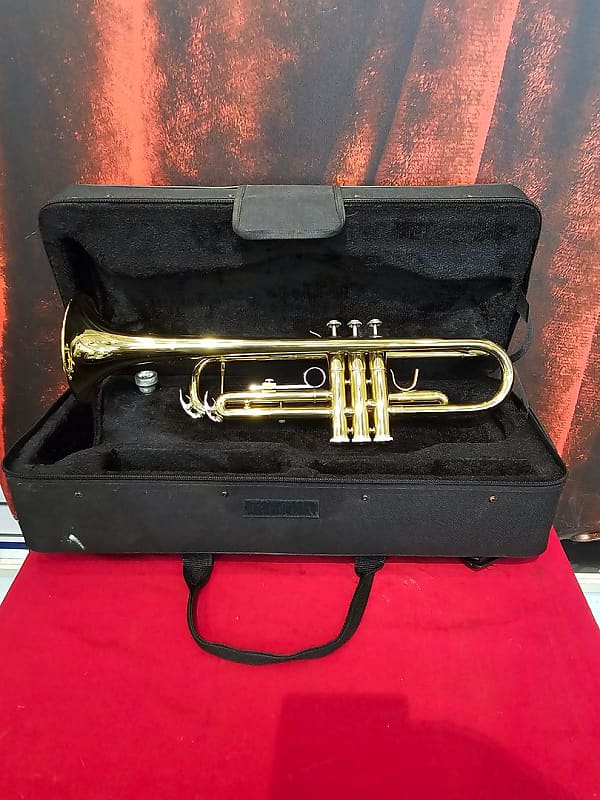 Benjamin Adams TP1 Trumpet (Sarasota, FL) Reverb