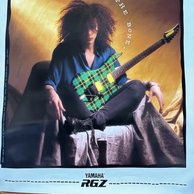 国内盤！BLUES SARACENO / ブルース・サラセノ / PLAID 国内盤！BLUES SARACENO / ブルース・サラセノ / PLAID - メルカリ