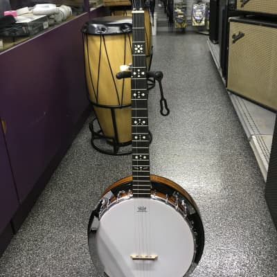 Danville BJ-24 5-String Banjo image 3