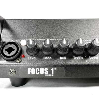 Acoustic Image Focus 1 Series III Bass Amplifier | Reverb Canada