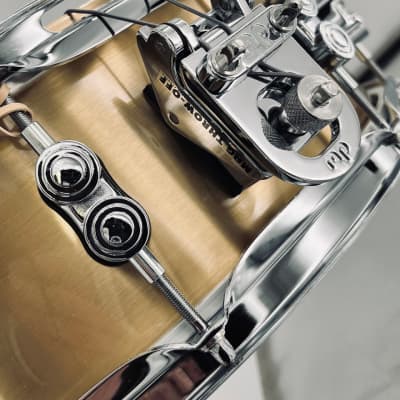 Pacific PDP Concept Select 3mm 5x14 Bell Bronze Snare Drum PDSN0514CS image 8