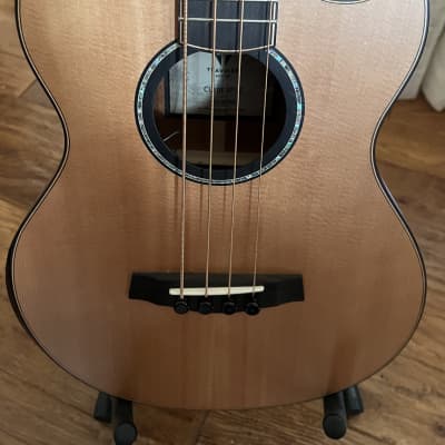 Traveler Guitar 4 String Acoustic-Electric Bass Guitar (CL3BE SPSE) image 3