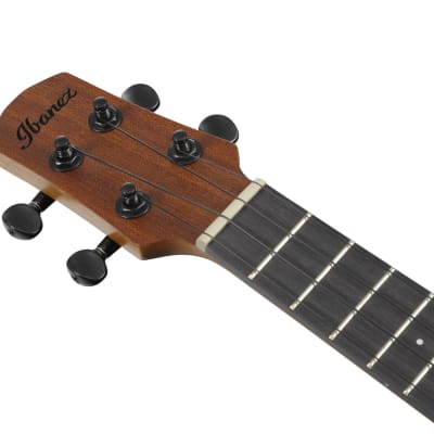 Ibanez AUC10E-OPN Concert Ukulele Open Pore Natural incl. Gigbag - NEW image 11