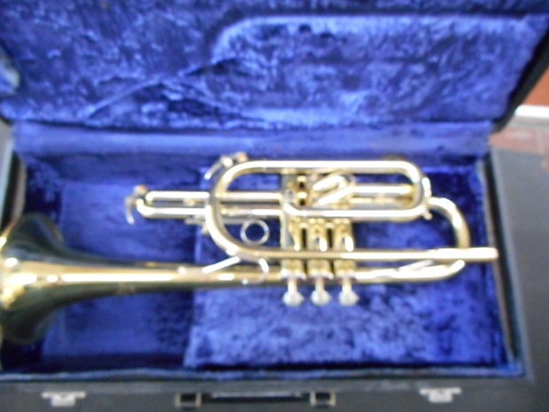 Blessing scholastic cornet top