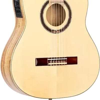 Signature Series Thomas Zwijsen Acoustic-Electric Nylon Classical Guitar w/ Bag for sale