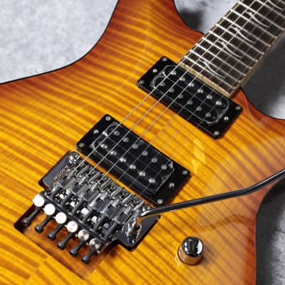 Fujigen EEL-FM-DL EXpert ELAN ギター 08061200_66b191b0dd25f.jpg