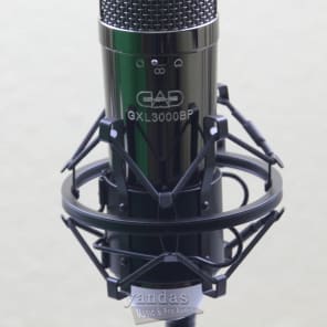 CAD GXL3000BP Multipattern Condenser Microphone
