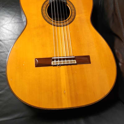 ギター YAMAHA GC-100 GC / GCX Series - Overview - Classical & Nylon - Guitars